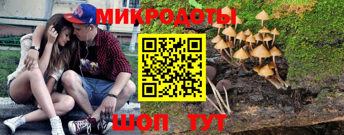 Псилоцибиновые грибы прущие грибы Ефремов