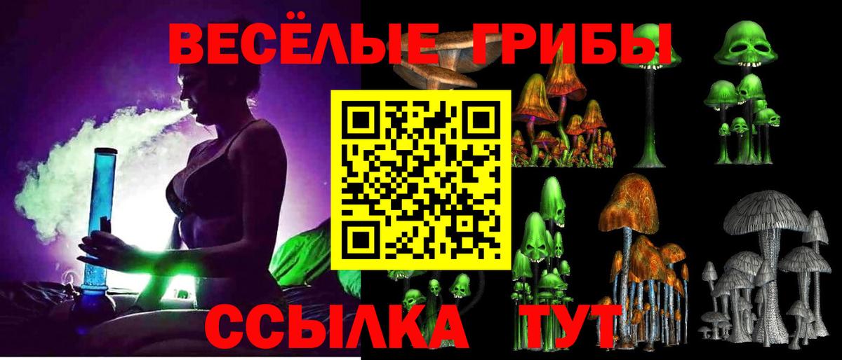 Ефремов  Псилоцибиновые грибы Psilocybine cubensis  Вход с VPN 